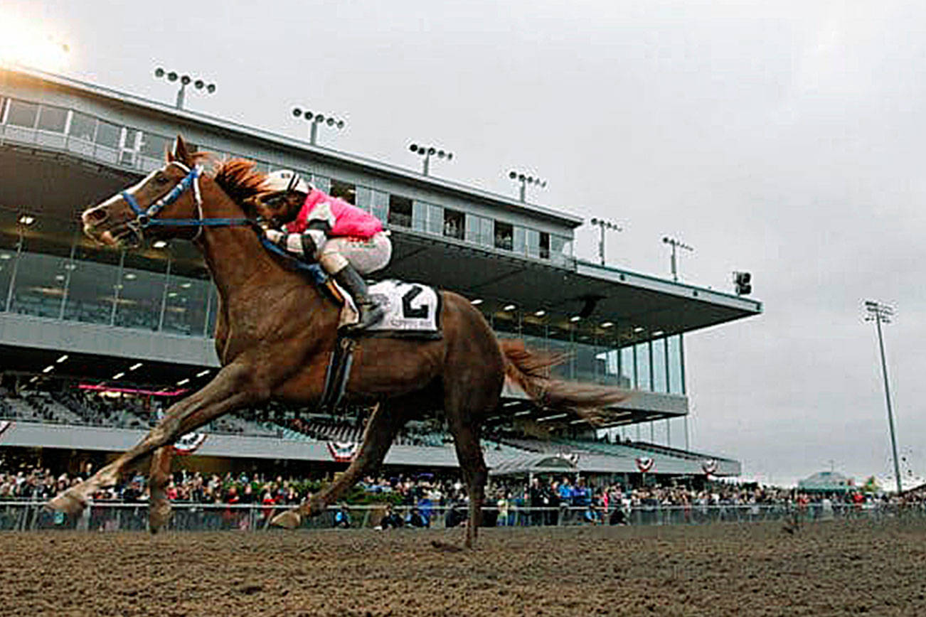 Sippin Fire chosen 2018 Horse of the Meeting