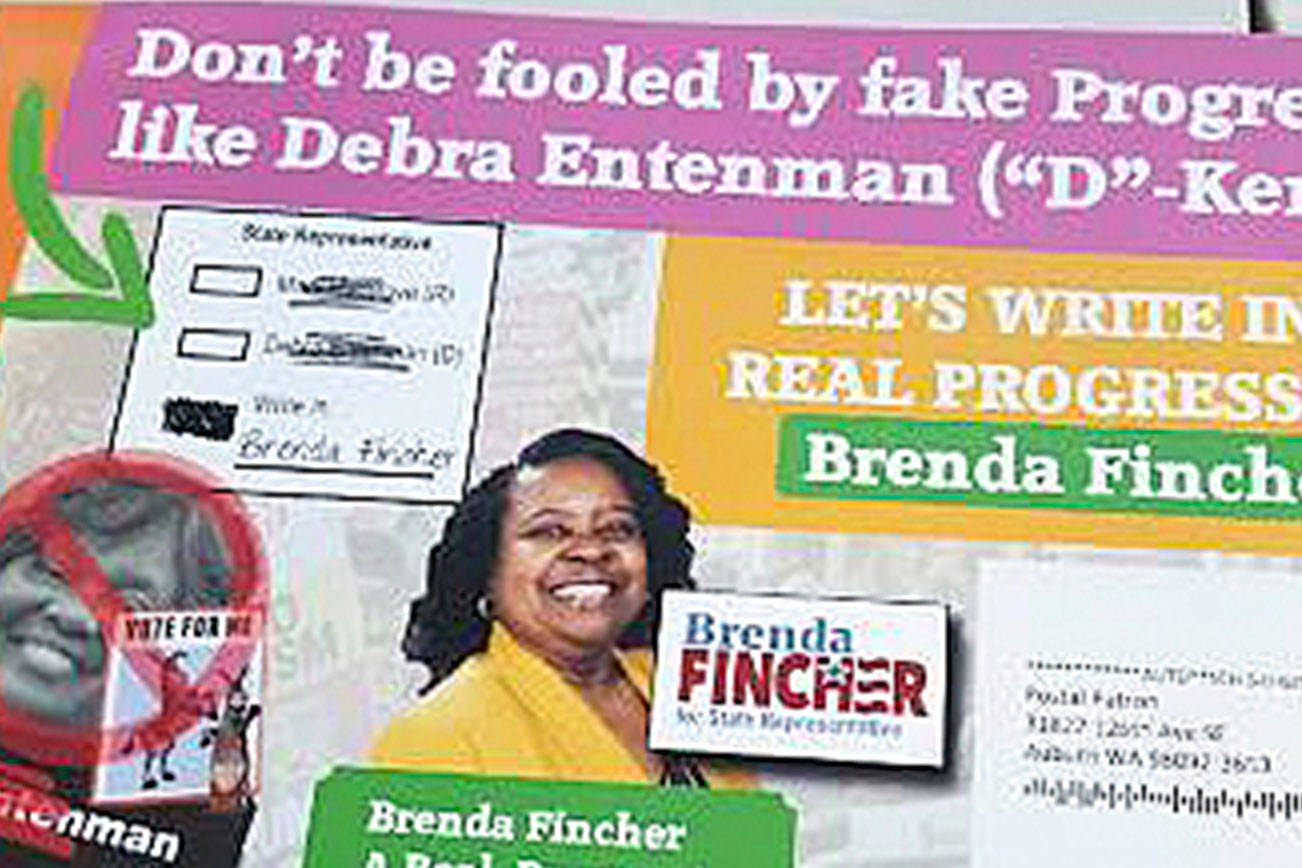 Kent’s Fincher calls campaign mailer ‘deceitful’ to write her in for House District 47 | Update