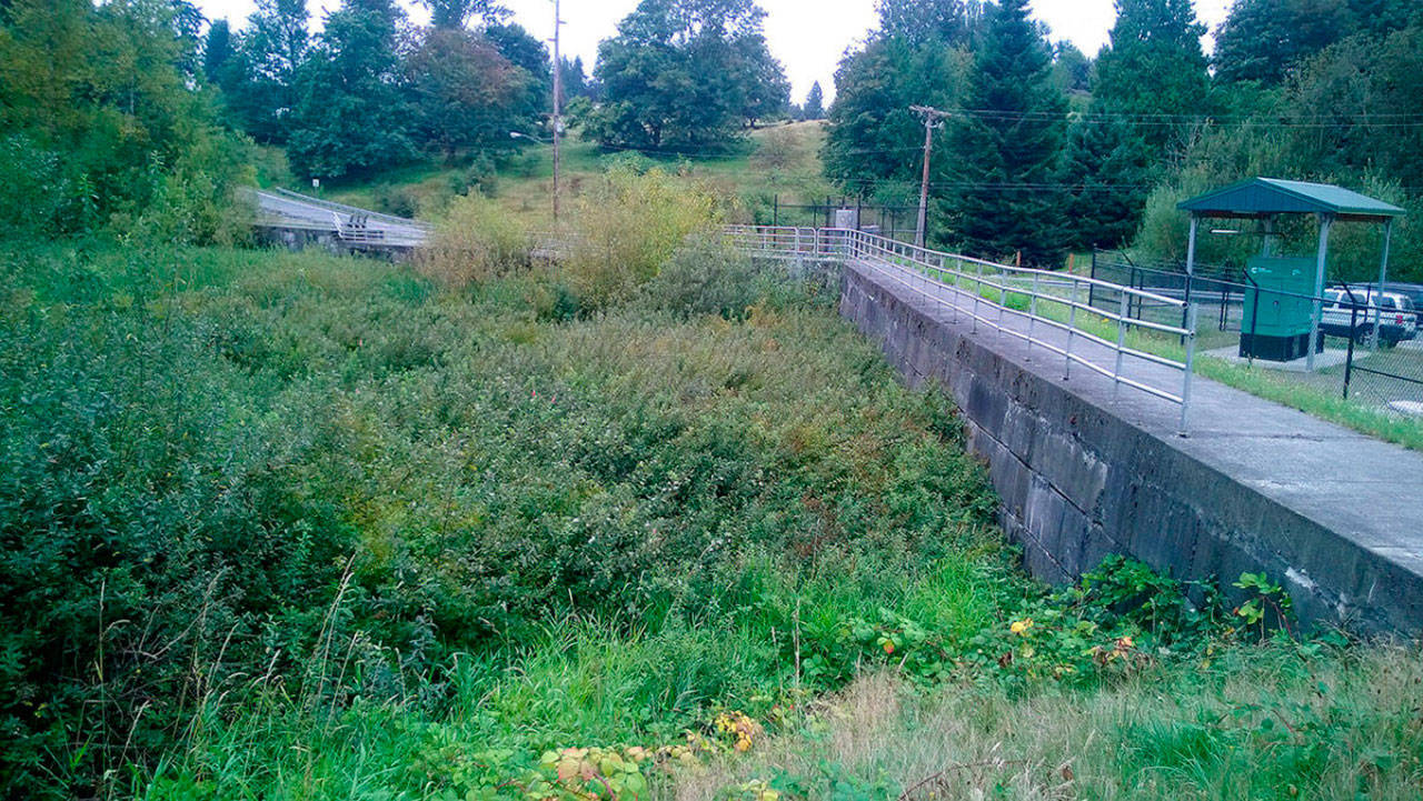 The city of Kent will make improvements to the Upper Mill Creek Dam to increase flood storage and add a fish ladder. COURTESY PHOTO, City of Kent