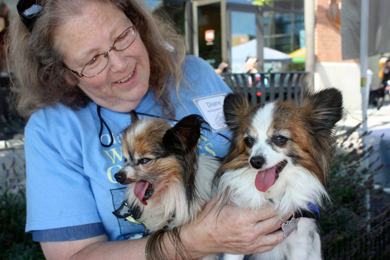 Diane Lee of Old Dog Haven shows off two fostered dogs, Celia Mae, left, and Selima, at last year’s pet adoption event at Kent Station. MARK KLAAS, Kent Reporter