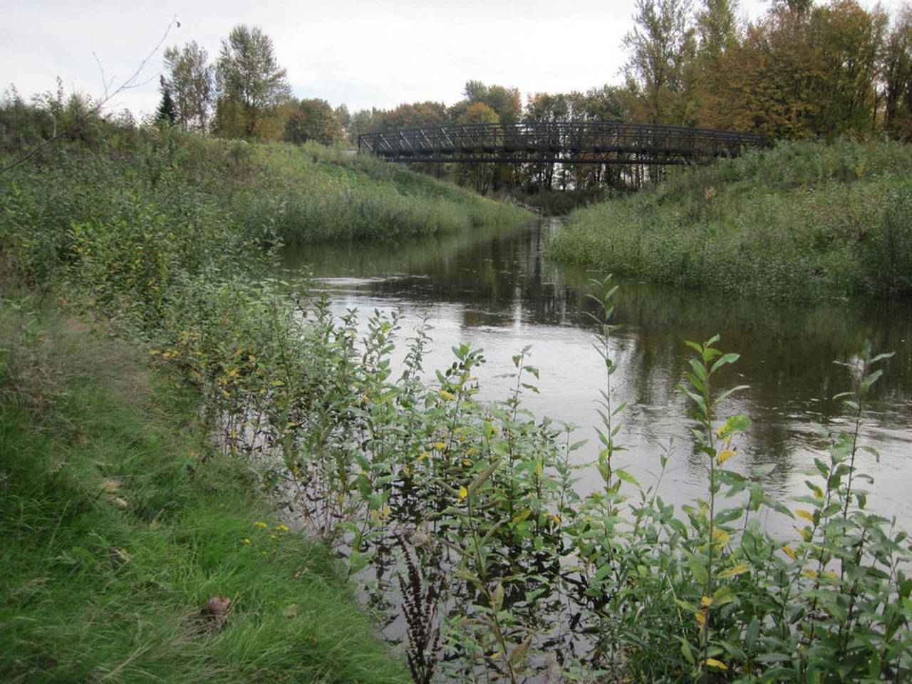 The Lower Russell Levee along the Green River. COURTESY PHOTO