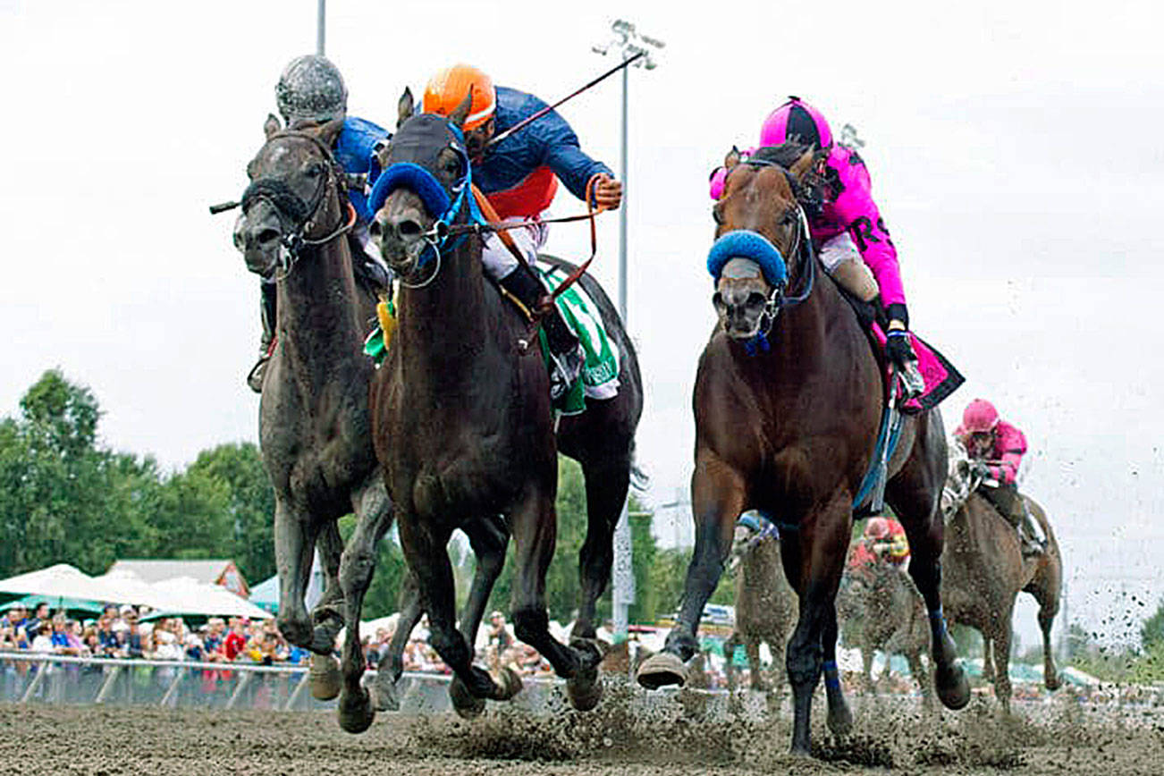 The Longacres Mile was voted 2019 Race of the Meeting. COURTESY TRACK PHOTO