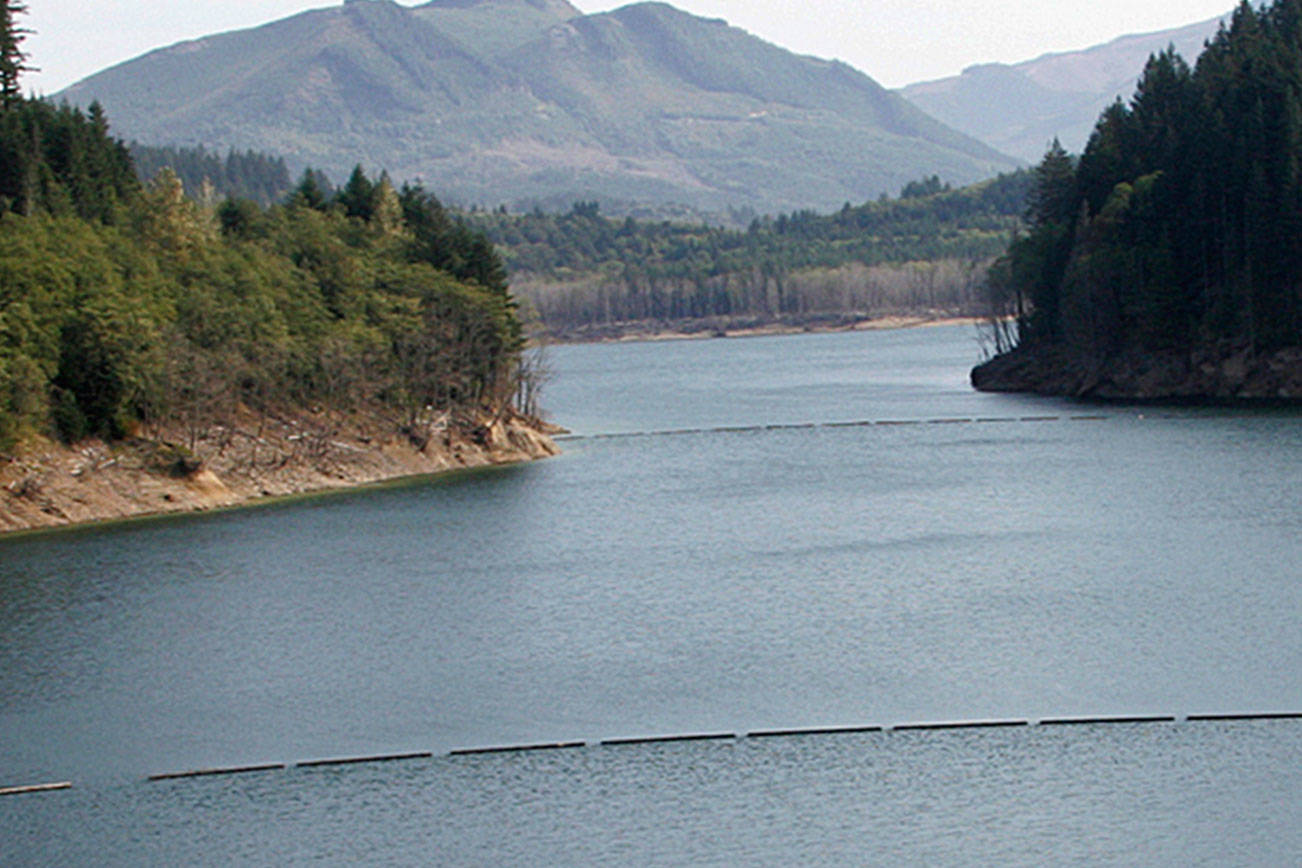 Hanson Dam protecting Green River Valley, Kent from flooding | Update