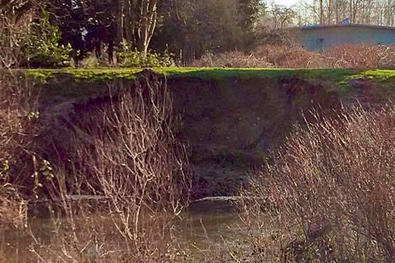 Portion of Green River Trail in Kent closed due to erosion