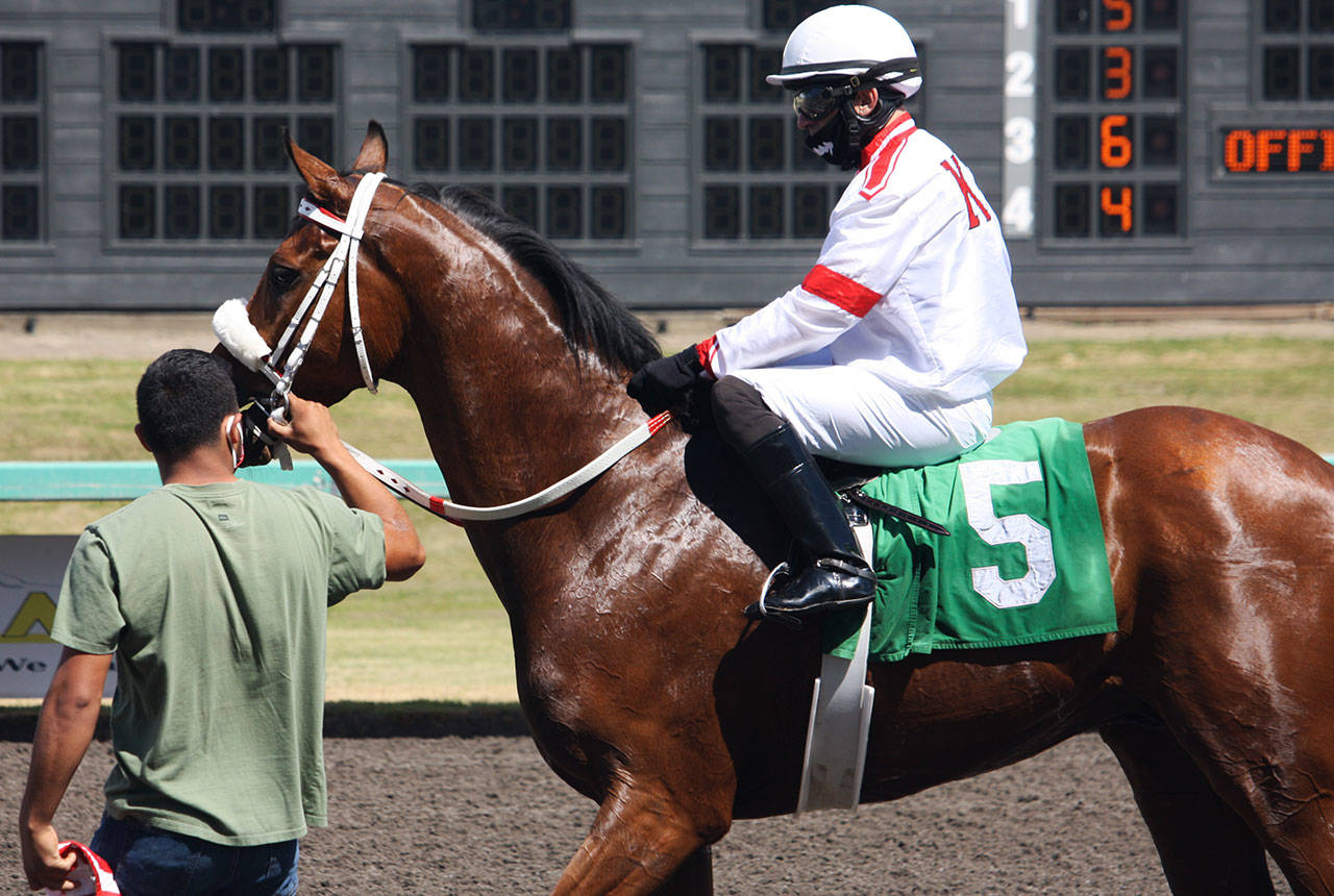 Jockey Juan M. Gutierrez on Benny the Jet won the third race opening day June 24 at Emerald Downs. STEVE HUNTER, Kent Reporter