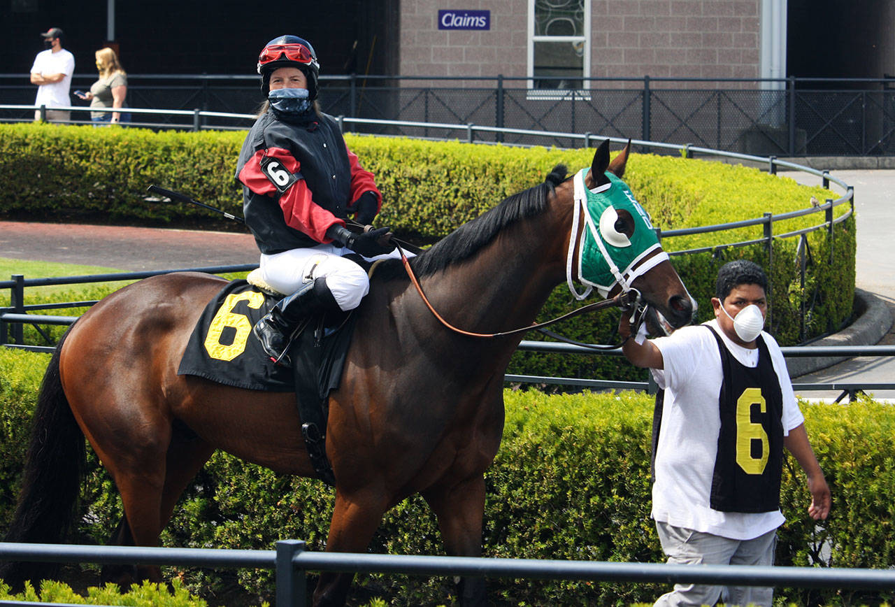 Jockey Jennifer Whitaker on Norski heads out of the paddock area on opening day June 24 at Emerald Downs. STEVE HUNTER, Kent Reporter