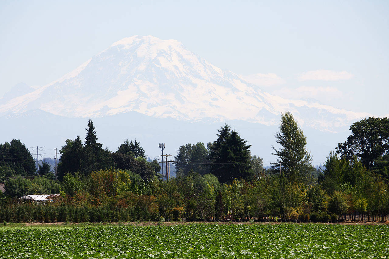 A zoomed in view of Mount Rainier on July 20 from Frager Road in the Kent Valley. STEVE HUNTER, Kent Reporter