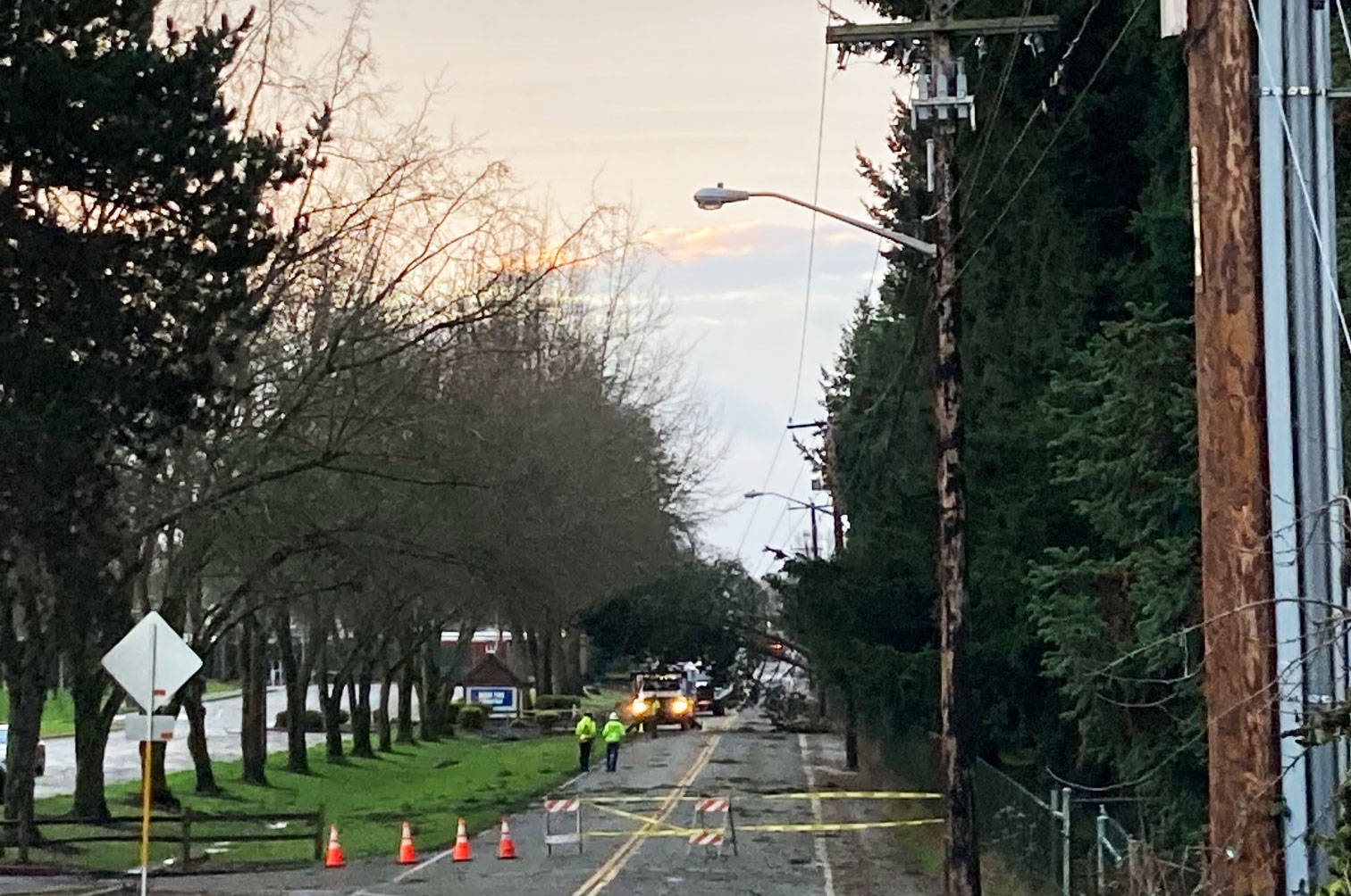 Crews responded Wednesday, Jan. 13 to trees that fell into power lines along Russell Road. COURTESY PHOTO, City of Kent