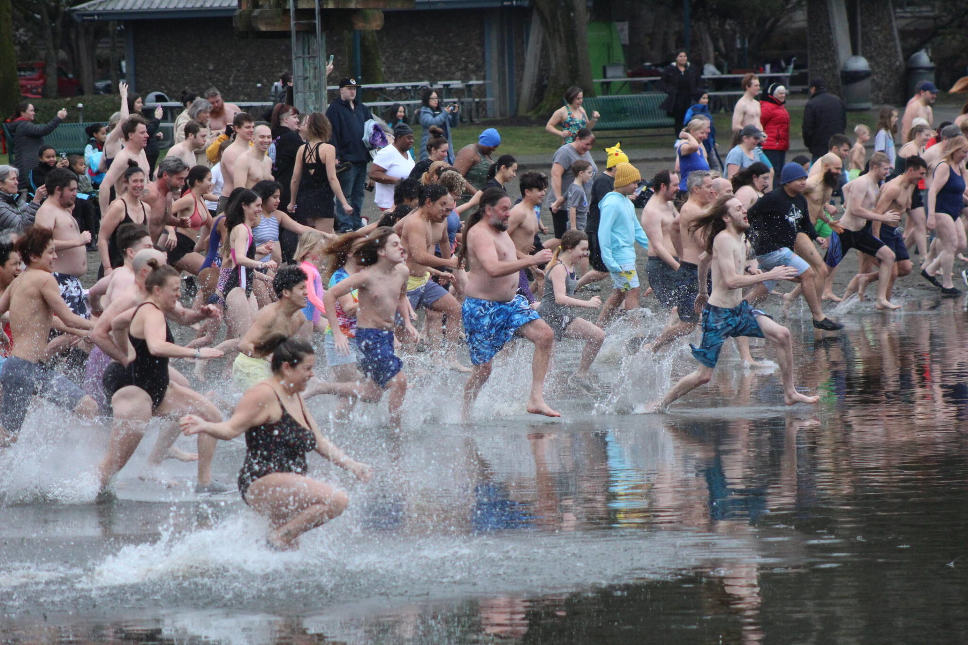 Renton’s Polar Bear Plunge makes its return Photos Kent Reporter