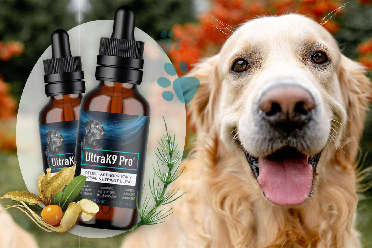 Ultra K9 Pro Reviews for Dogs [The 7 Undeniable Facts] | Kent Reporter