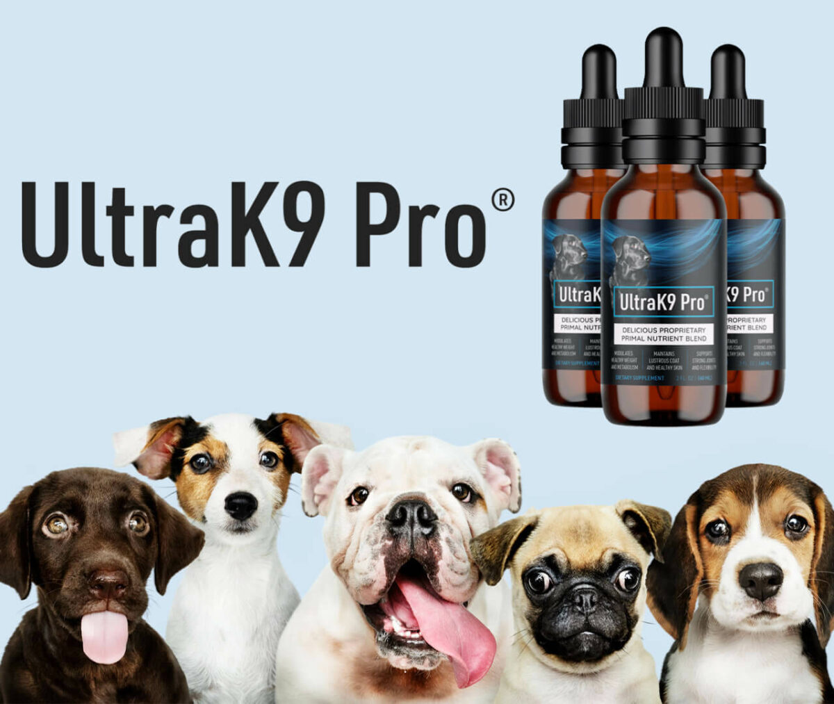 Ultra K9 Pro Reviews for Dogs [The 7 Undeniable Facts] Kent Reporter