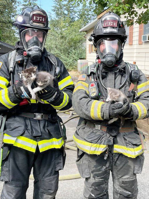 Firefighters rescue three kittens Thursday, Aug. 15 from a Kent house fire. COURTESY PHOTO, Puget Sound Fire