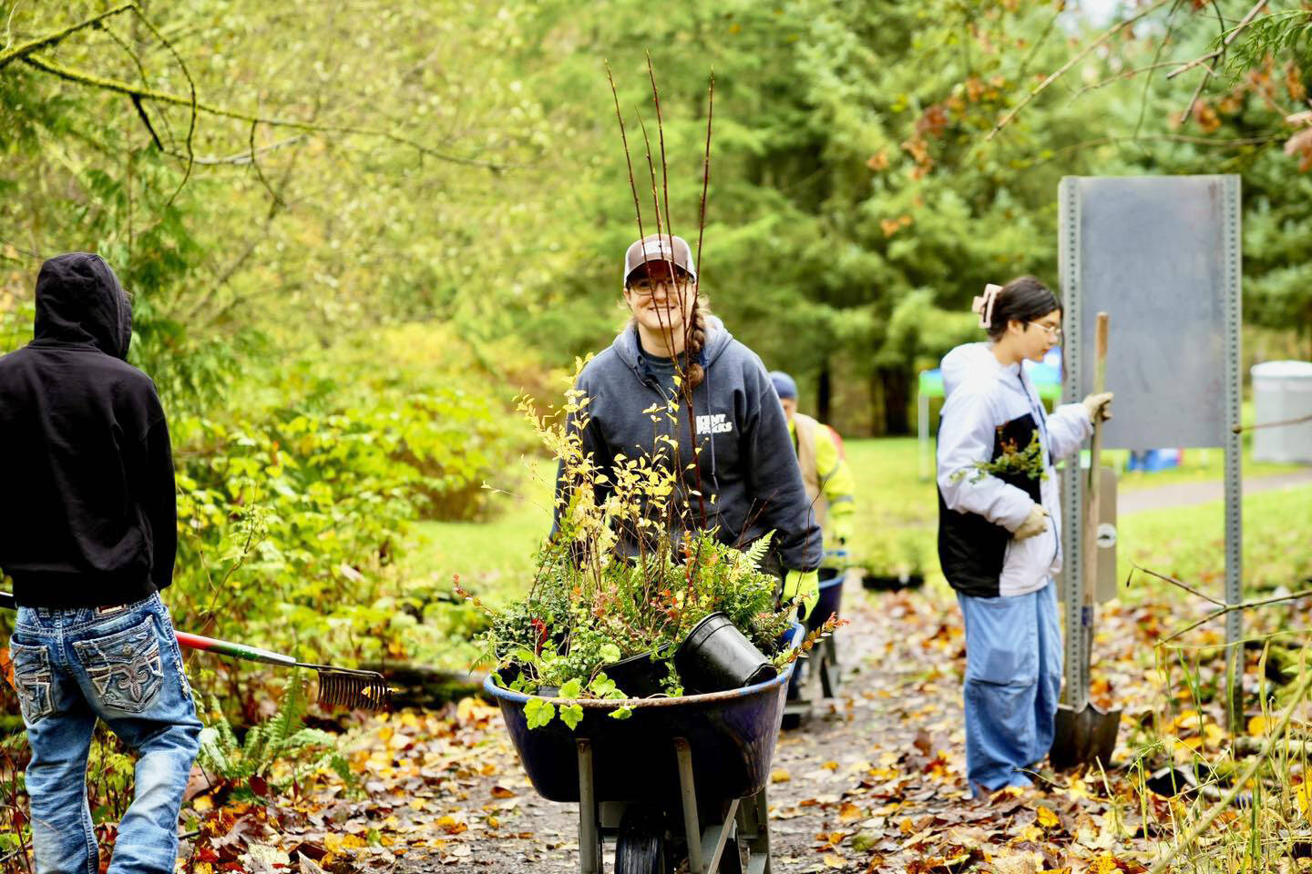 A Green Kent volunteer brings in plantings Nov. 16 at Mill Creek Canyon Earthworks Park. COURTESY PHOTO, City of Kent