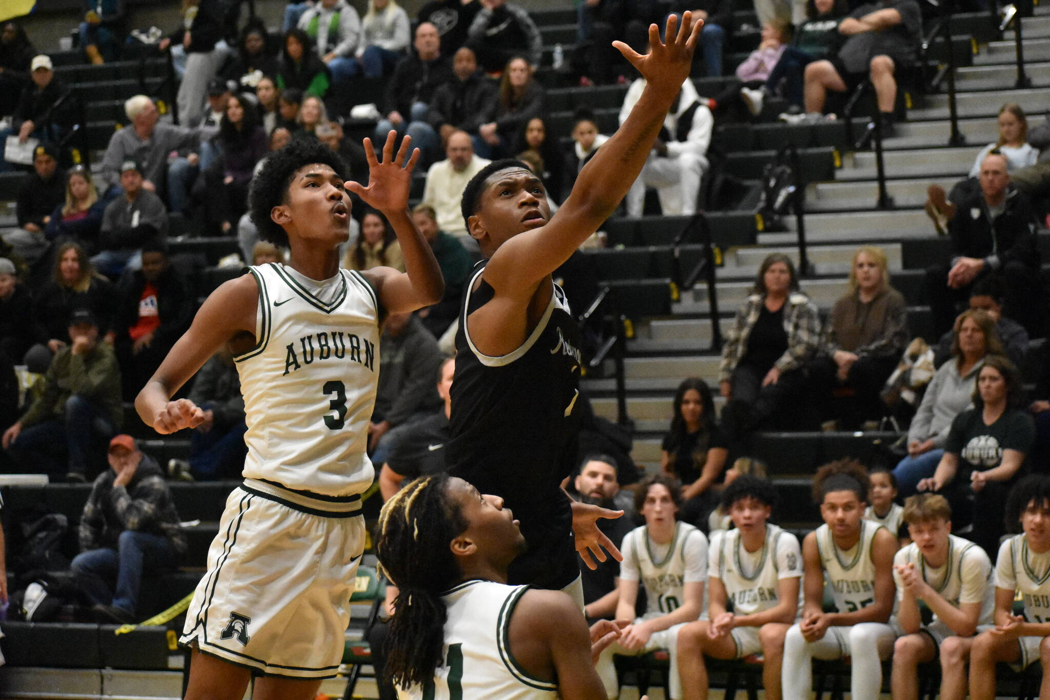 Senior Corey Tita rises above the Auburn defense. Ben Ray / The Reporter